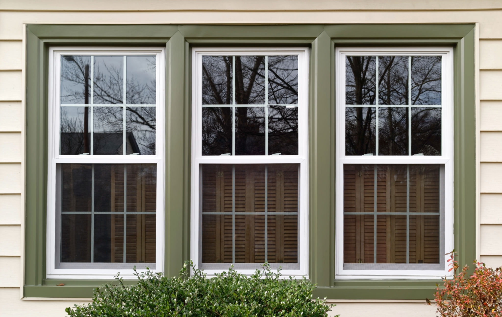 Windows Seller in New Orleans